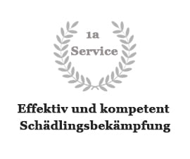 awards